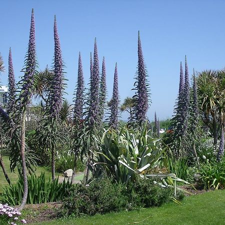 Kelly'S Resort Hotel & Spa Rosslare Harbour Exteriör bild
