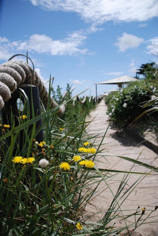 Kelly'S Resort Hotel & Spa Rosslare Harbour Exteriör bild