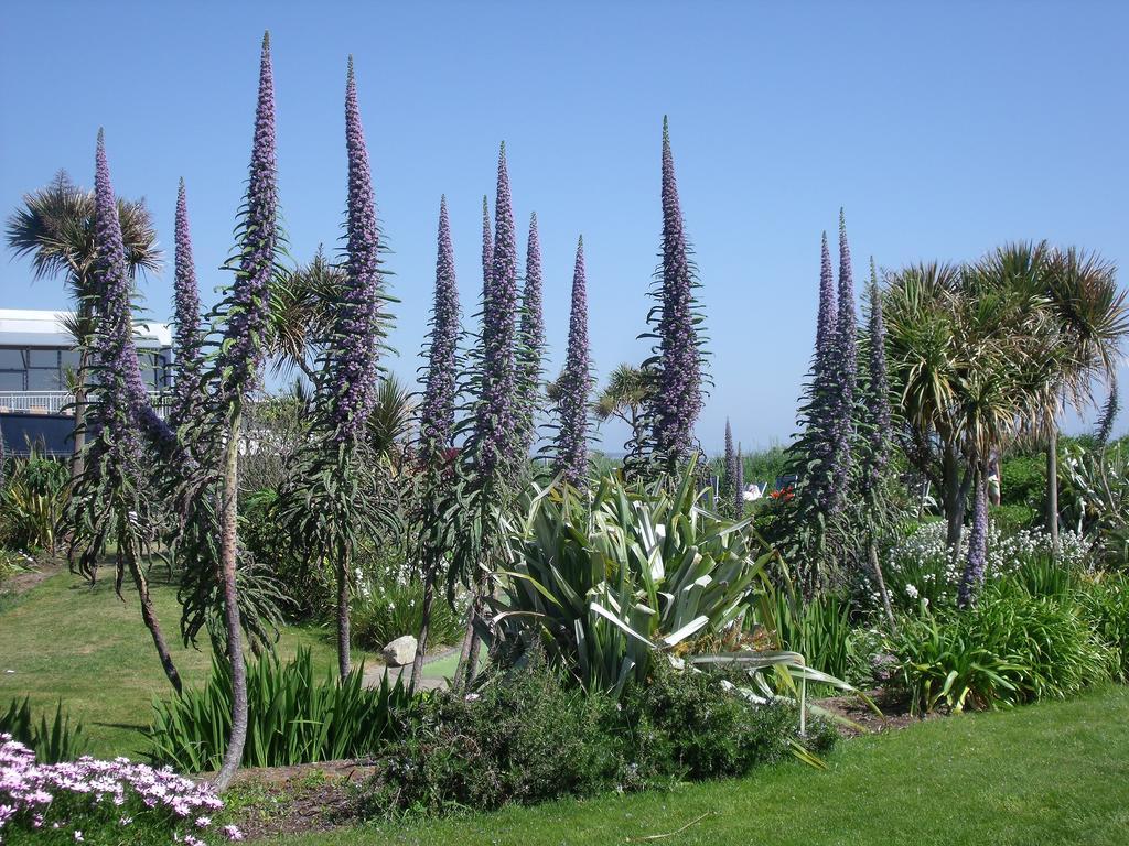 Kelly'S Resort Hotel & Spa Rosslare Harbour Exteriör bild